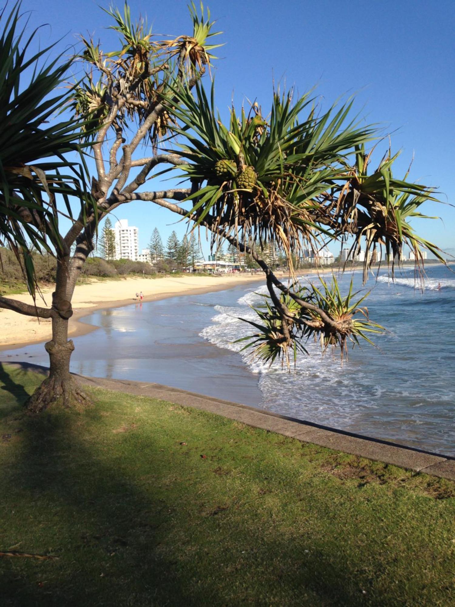 Grand Palais Boolarong Beachside Apartments Alexandra Headland Bagian luar foto